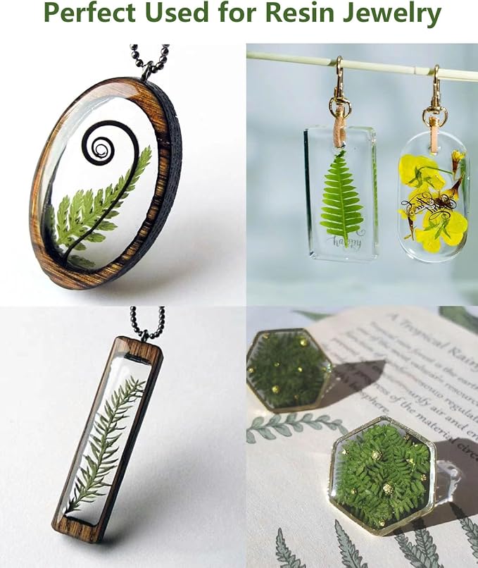 48 Pcs Mix Natural Dried Pressed Ferns for Cake Decorating, Real Dried Greenery for Resin Jewelry Making, DIY Art Crafts (Fern)