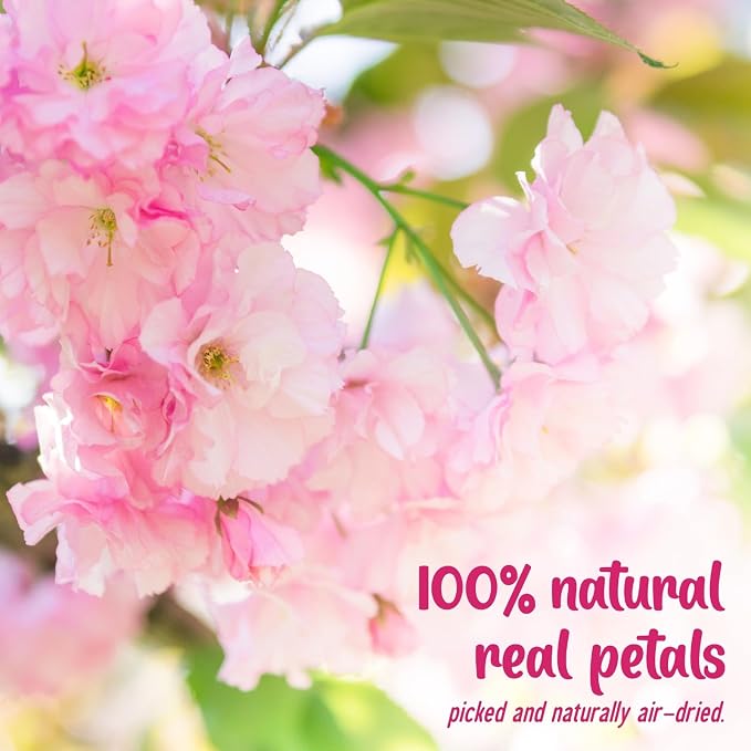 80 Pcs 2 Kinds Natural Pressed Dried Edible Flowers for Cake Topper Decoration - Pink Mix Sakura, Cherry Blossoms for Cupcake Toppers, Cocktails, Resin Jewelry, DIY Crafts