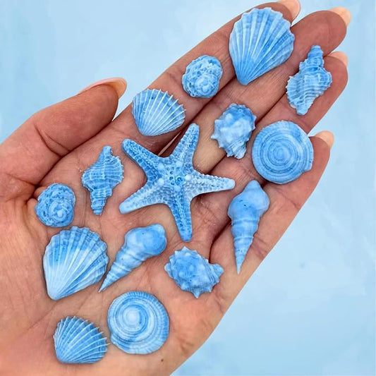 15 Dye Free Seashell Edible Cake Decorations, Vegan, Gluten-Free, Edible Cake Toppers for Cupcakes, Cookies & Desserts, by Simply Sucré (30 Pieces (Bulk Box), Blue)