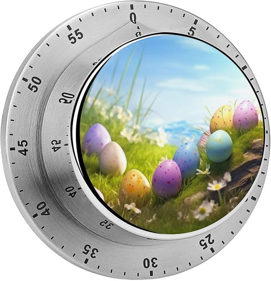 Eggs Spring Digital Timer, Kitchen Timers Digital Timer for Cooking Egg Timer Classroom Timer for Teacher Magnetic Countdown Timer for Exercise Study Oven