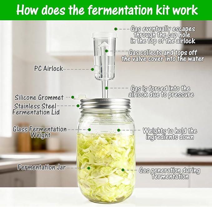 32 oz Mason Jar Fermentation Kit, 2 Pack Fermentation Jars, Fermentation Lids, Fermenting Weights and Airlocks, Complete Fermenting Kit for Making and Storing Sauerkraut（Pack of 2）