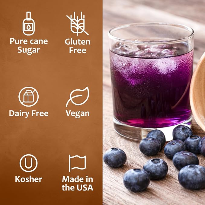 Syruvia Blueberry Syrup, Flavored Syrup for Drinks, Lemonades, Iced Teas, and Desserts – 25.4 fl oz - with Pump