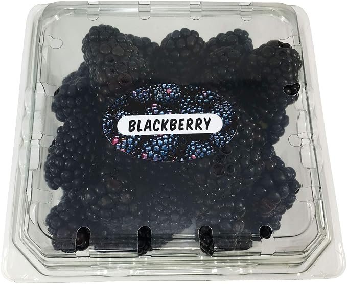 BlackBerry Grocery Store Food Labels 1.25 x 2 Inch Oval Shape 500 Total Adhesive Stickers