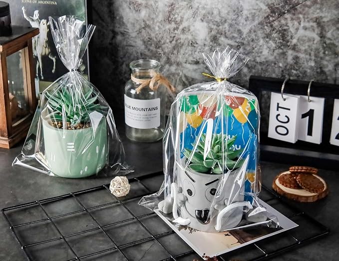 LOKQING Cellophane Bags Plastic Mothers Day Gift Bags Clear Cookie Treat Bags with Twist Ties for Party Favor, Graduation Gift Bags(100PACK, 8x11inch)