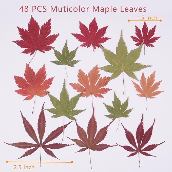 48 Pcs Dried Pressed Fall Maple Leaf for Cake Decorating, Seasonal Decor, Natural Dried Leaves Herbs kit for Resin Jewelry Making Soap and Candle Making (Maple Leaf)
