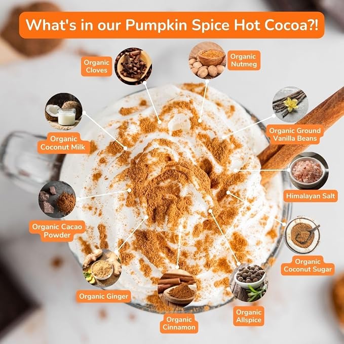 Bare Life Organic Pumpkin Spice Hot Cocoa Mix, Dairy Free Hot Cocoa Mix, Vegan Hot Chocolate Powder, Gluten Free, Kosher Pareve, Just Add Hot Water, 9.52 oz Pouch