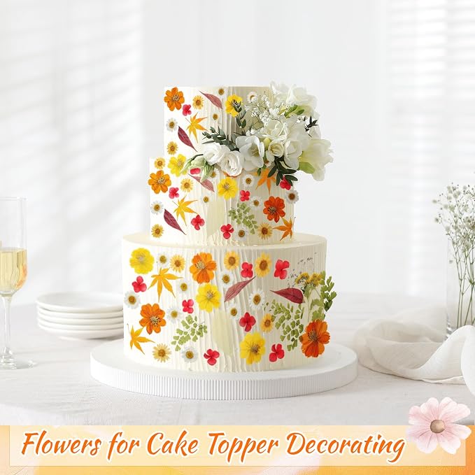 96 Pcs Natural Dried Pressed Flowers for Cake Topper Decorating Cupcake Toppers Cocktails Resin Jewelry Candle Soap Making DIY Art Crafts