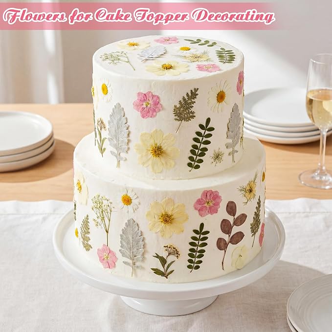 96 Pcs Natural Dried Pressed Flowers for Cake Topper Decorating Cupcake Toppers Cocktails Resin Jewelry Candle Soap Making DIY Art Crafts
