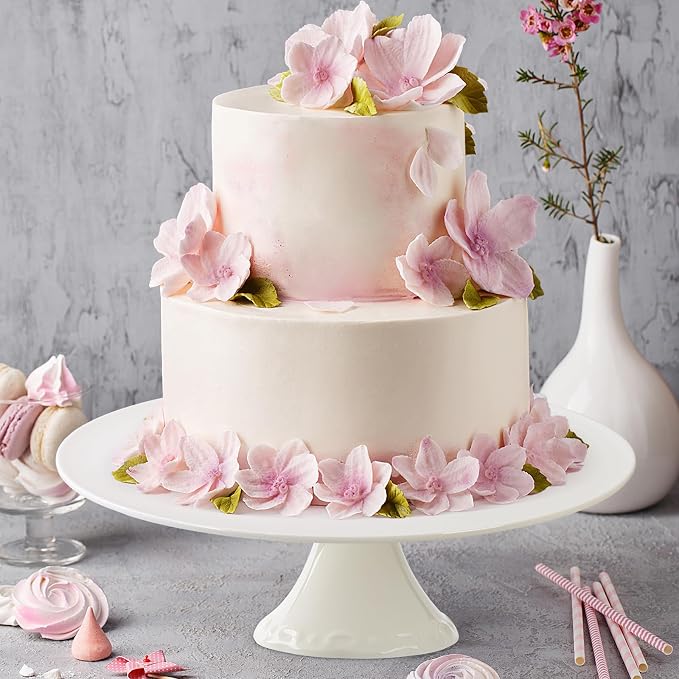 White Porcelain Cake Stand 10 Inch, Round Dessert Stand, Display Cupcake Stand for Party, Weddings, Birthday, Baby Shower