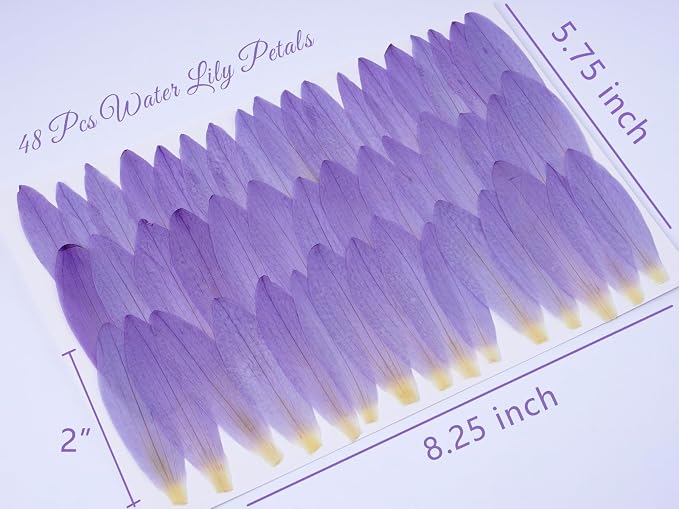 48 Pcs Mix Natural Dried Pressed Water Lily Petals for Cake Decorating, Cocktail Garnish, Resin Jewelry Making, DIY Art Crafts (Water Lily)