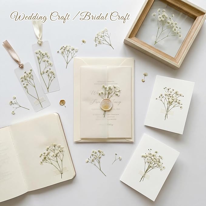 48 Pcs Natural Dried Pressed Mini Baby's Breath Flowers for Cake Decorating, Wedding Invitations, Real Dry Gypsophila Flower for Resin Jewelry Making, DIY Art Crafts(Baby's Breath)