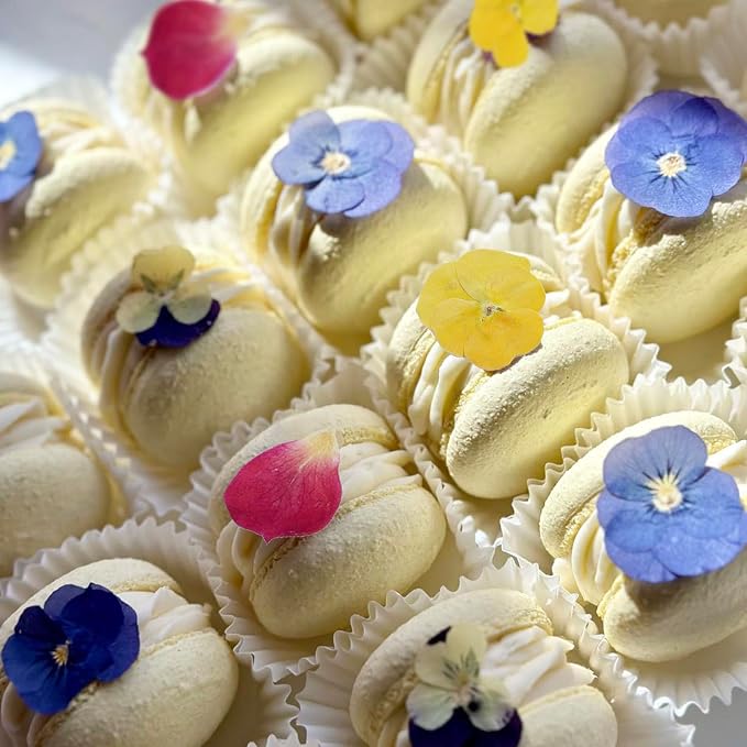 48 Pcs Mix Natural Dried Flowers for Cake Decorating, Real Dry Flower for Resin Jewelry Making, DIY Art Crafts (Pansy)