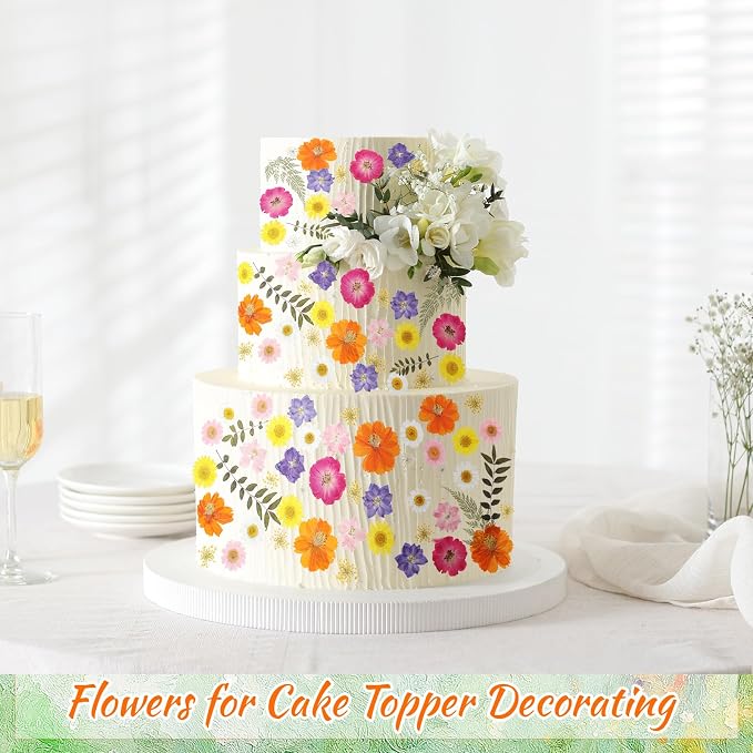 96 Pcs Natural Dried Pressed Flowers for Cake Topper Decorating Cupcake Toppers Cocktails Resin Jewelry Candle Soap Making DIY Art Crafts