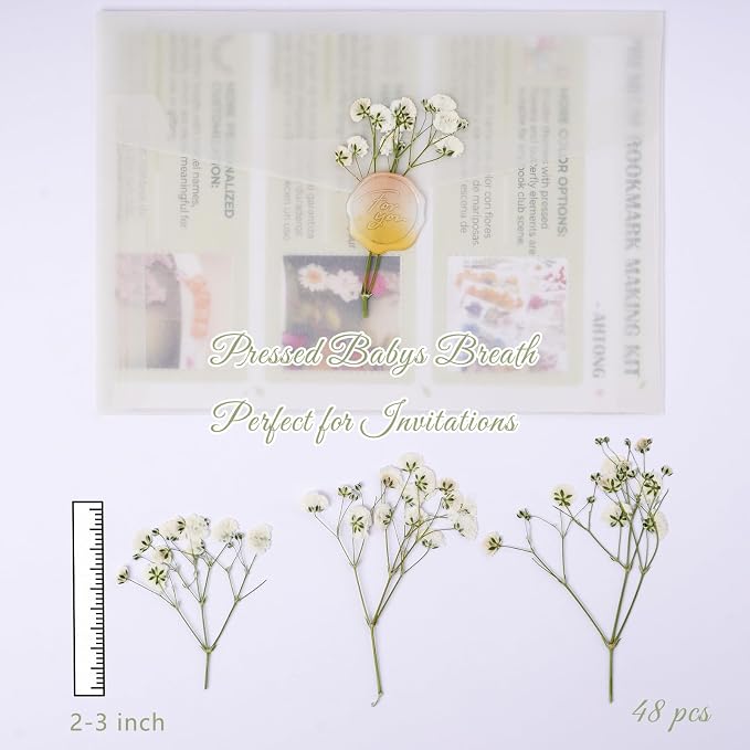 48 Pcs Natural Dried Pressed Mini Baby's Breath Flowers for Cake Decorating, Wedding Invitations, Real Dry Gypsophila Flower for Resin Jewelry Making, DIY Art Crafts(Baby's Breath)