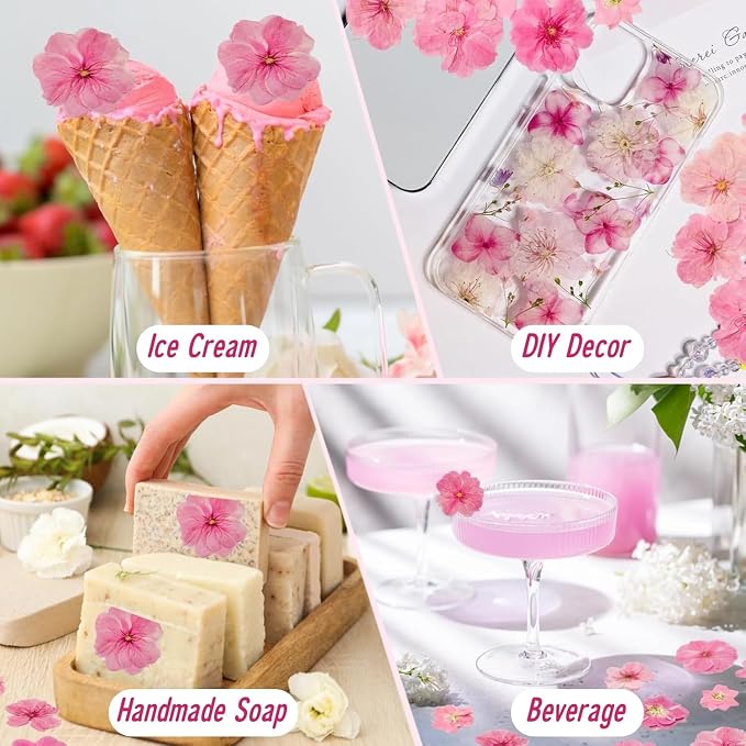 80 Pcs 2 Kinds Natural Pressed Dried Edible Flowers for Cake Topper Decoration - Pink Mix Sakura, Cherry Blossoms for Cupcake Toppers, Cocktails, Resin Jewelry, DIY Crafts