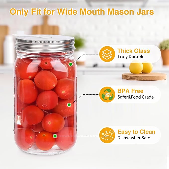 32 oz Mason Jar Fermentation Kit,Sauerkraut/Pickling Kit with 2 Pack Fermentation Jars, 2 Fermentation Lids, 2 Fermenting Weights and Airlocks(2 Jars Included)