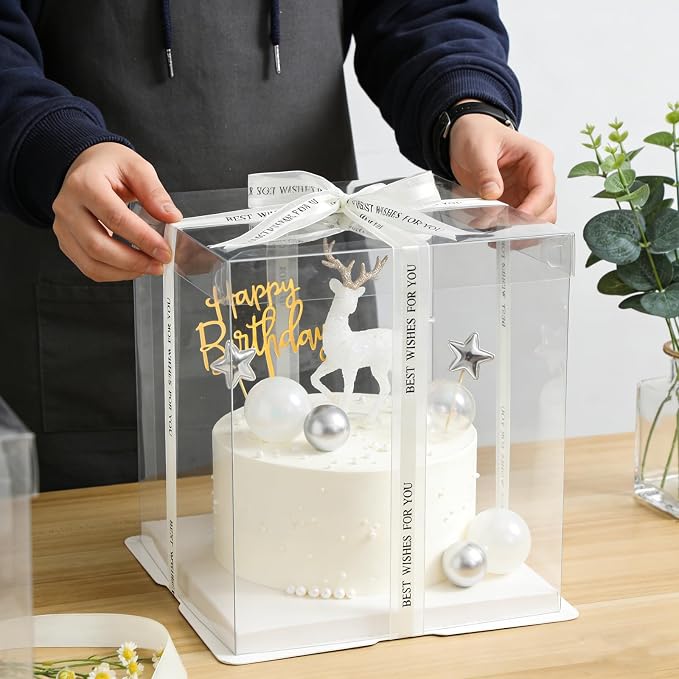 6 Pack Clear Cake Box, 2-Layer Transparent Cakes Box with Ribbon, 10" X 10" X 9" Tall Cake Carrier Boxes with Sturdy Board for Bakery Dessert Bread Pastry Birthday Parties, Wedding Graduation