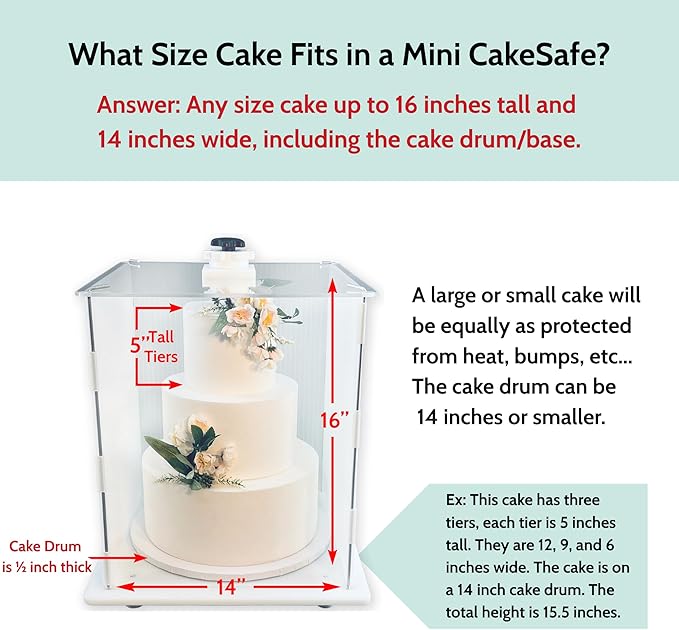 CAKESAFE Reusable Mini Cake Transporter, Clear Plastic Cake Carrier (14" W x 16" H)