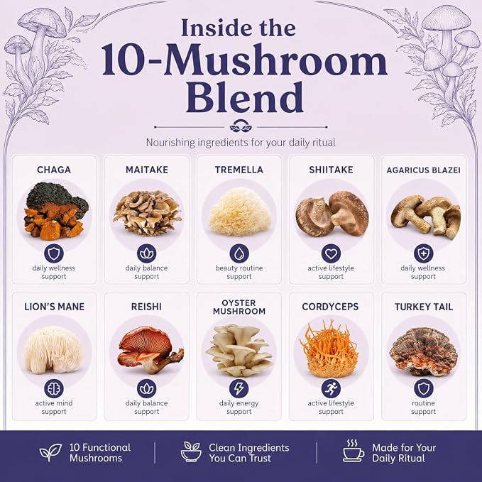 Suiyilary 10 Mushroom Hot Cocoa for Sleep, Sugar Free Keto Cocoa Powder, Nighttime Drink,100mg Magnesium Glycinate, 100mg GABA, 150mg L-Theanine, Help Fall Asleep and Stay Asleep, 15 Servings