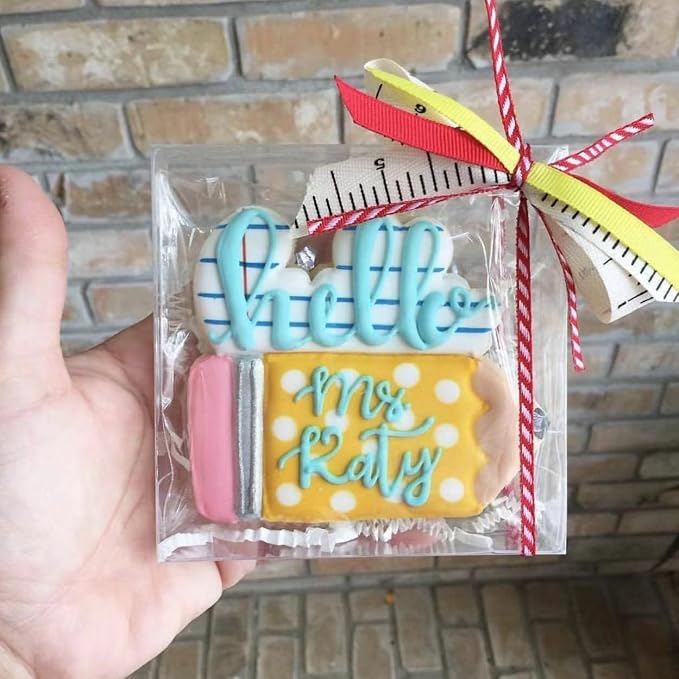 TEMLQPACK 30 Pack 4x4x1.2inch Clear Single Cookies Boxes with Full Window Macaron Boxes Small Treat BoxesCandy Boxe Mini Pie Boxe for Wedding Birthday Party