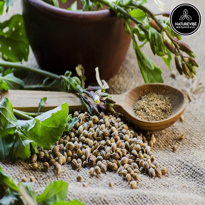 Naturevibe Botanicals Coriander Seed Powder - 5lbs - Coriandrum sativum | Raw, Gluten-Free & Non-GMO | Rich Amount of Minerals | Indian Spice (80 ounces)