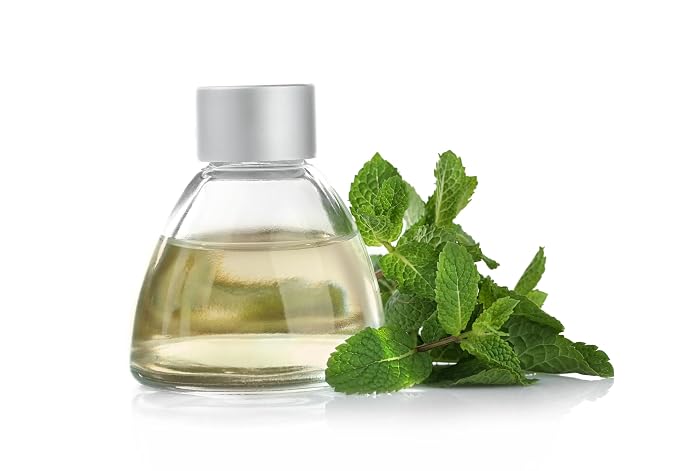 Pure Spearmint Flavor for Baking and Flavoring - Premium Quality Natural Flavors for Baked Goods, Desserts, & Cooking -1 Gallon