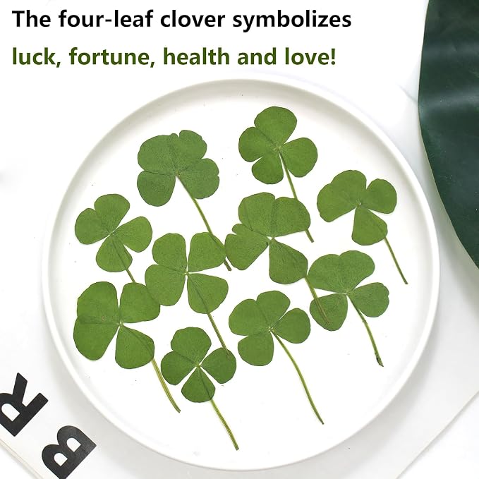 48 Pcs Mix Natural Dried Pressed 4 Leaf Clover for St Patricks Day Cake Decorating, Real Dry Flower for Lucky Jewelry Making (Four Leaf Clover)