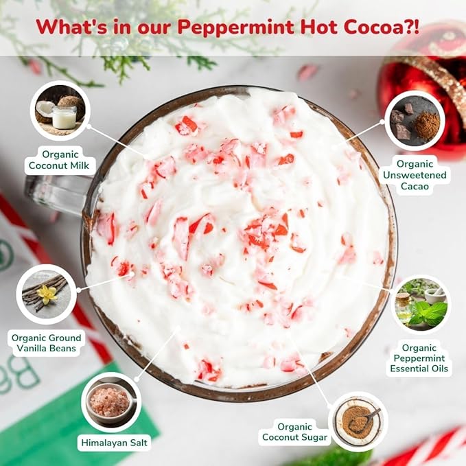 Bare Life Organic Peppermint Hot Cocoa Mix, Dairy Free Hot Cocoa Mix, Vegan Hot Chocolate Powder, Gluten Free, Kosher Pareve, Just Add Hot Water, 9.52 oz Pouch