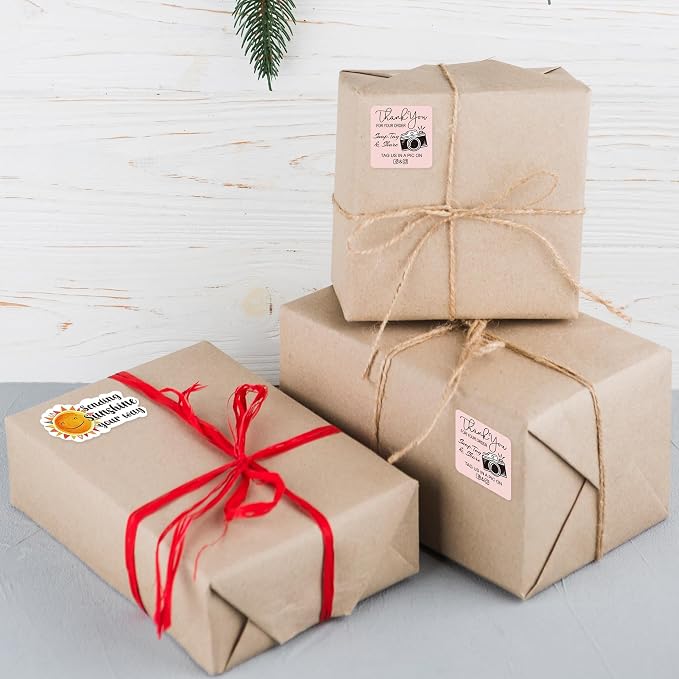 Thank You for Your Order Stickers Roll, Retro Camera Design Customer Review Stickers, Pink Square Stickers, Handmade Boutique Snap Tag Share Packaging Stickers Cute - 500pcs