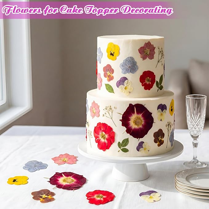 96 Pcs Natural Dried Pressed Edible Flowers for Cake Topper Decorating Cupcake Toppers Cocktails Resin Jewelry Making DIY Art Crafts