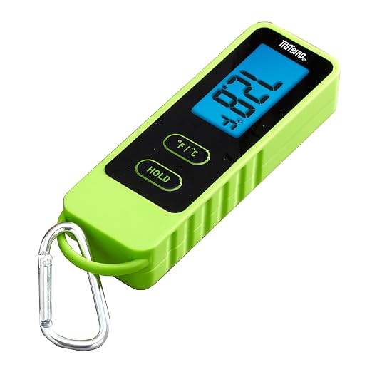 Taylor TruTemp Compact Digital Folding Meat Thermometer with Carabiner Clip for Grilling BBQ Kitchen Griddle, Portable Gadget Essential, Food Temperature Monitor, Gift for Dad Him Men, Green