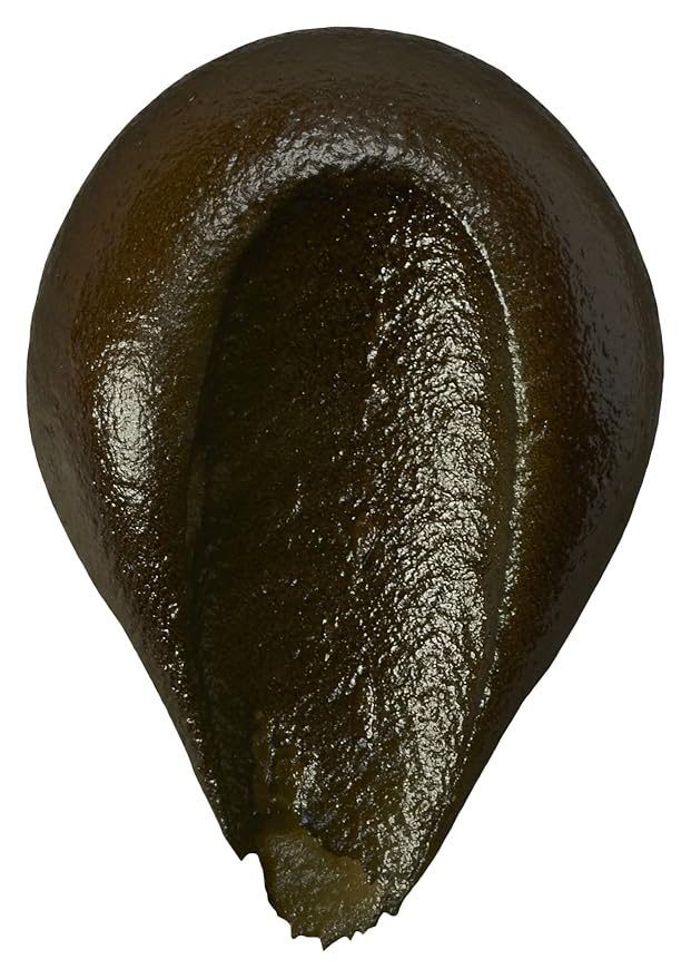 DecoPac Food Coloring, Edible Airbrush For Cake Decorating, Cookie Airbrush Coloring, Food Airbrush Kit Add-on, Airbrushes For Cake Decorating - Harvest Brown, 8 Fl Oz