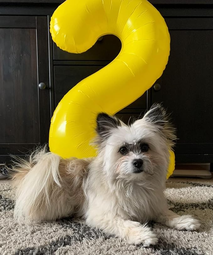 40 Inch Number 7 Balloon, 6 7 Birthday Decorations, Yellow Seven Birthday Decor, 7 17 27 70 Year Old Balloon Number for Engagement, Wedding, Graduations
