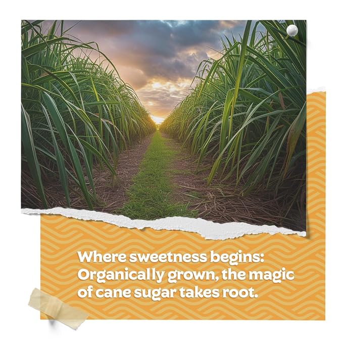 Fermentaholics Organic Cane Sugar | OU Kosher | Natural Sweetener for Cooking, Fermentation, Beverages, & More | Non GMO & Gluten Free | No Additives