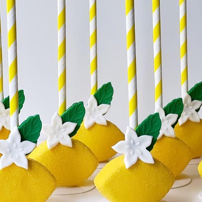Lemon Silicone Mold, Lemon Slices Resin Fondant Mold for Cake Decoration Candy Cupcake Topper Cake Polymer Clay Crafts Epoxy Resin