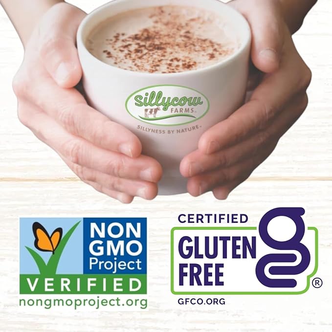 Sillycow Farms Mexican Spiced Hot Chocolate Mix | Gluten-Free, Non-GMO, Dairy-Free | Dutch Processed Cocoa Powder & Natural Cane Sugar | Holiday Flavor in Reusable Glass Bottle | 16.9 oz Each, Pack of 2