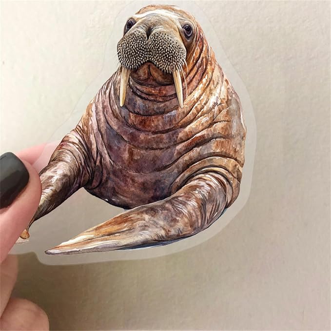 50pcs Marine Organism Transparent PET Stickers for Journaling Supplies, Lovely Sea Fish Sticker for Scrapbooking, Skateboard, Bicycle, Water Cup, Gift for Teenagers(colourful-B12)