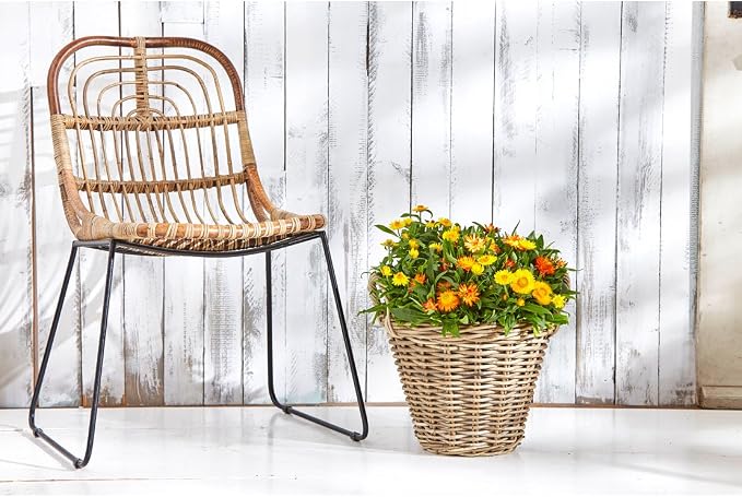 Dehner 3679727 Rattan Basket with Handles Diameter 35 cm Height 25 cm Rattan Weave Grey/Brown