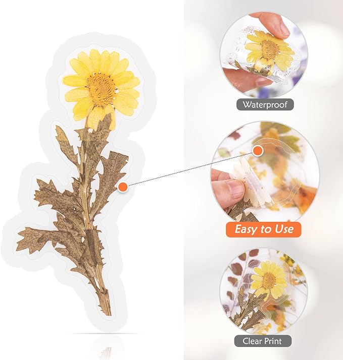 160pcs Pre-Cut Scrapbooks Natural Stickers, Floral and Plant Sticker for DIY Craft, Planners, Journal, Notebook, Laptop, Cell Phone, Calendars, Wedding Scrapbooking, PET Material, Colorful