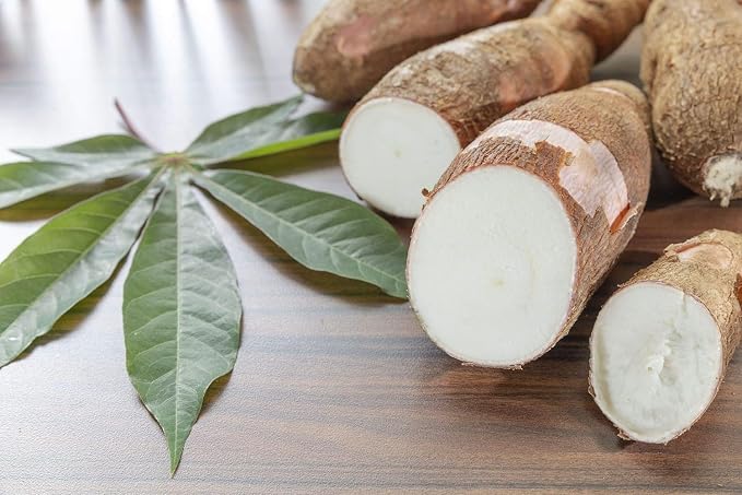 Food to Live Organic Cassava Flour, 16 Pounds — Non-GMO, Raw Yuca Root Powder, 100% Pure, Kosher, Vegan Superfood, Paleo, Bulk, Wheat Flour Substitute