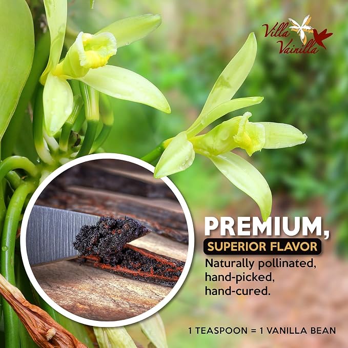 Villa Vainilla Pure Vanilla Extract - Premium Concentrated, Real, Natural, Gourmet Flavor from Mexico (64 Fl Oz/0.5 GL)
