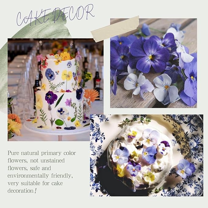 48 Pcs Mix Natural Dried Flowers for Cake Decorating, Real Dry Flower for Resin Jewelry Making, DIY Art Crafts (Pansy)