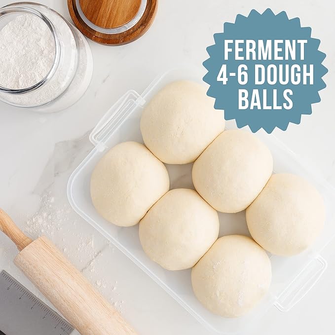 Chef Pomodoro Pizza Dough Proofing Box, 14 x 11-Inch, Preparation Container with Lid, Fits 4-6 Proofing Balls, Household Pizza and Bread Dough Tray With Convenient Carry Handle (Blue, 2-Pack)