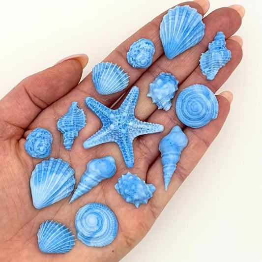 15 Dye Free Seashell Edible Cake Decorations, Vegan, Gluten-Free, Edible Cake Toppers for Cupcakes, Cookies & Desserts, by Simply Sucré (45 Pieces (Bulk Box), Blue)