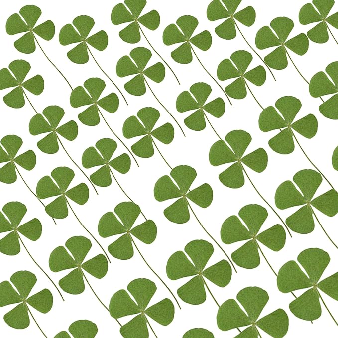 48 Pcs Mix Natural Dried Pressed 4 Leaf Clover for St Patricks Day Cake Decorating, Real Dry Flower for Lucky Jewelry Making (Four Leaf Clover)