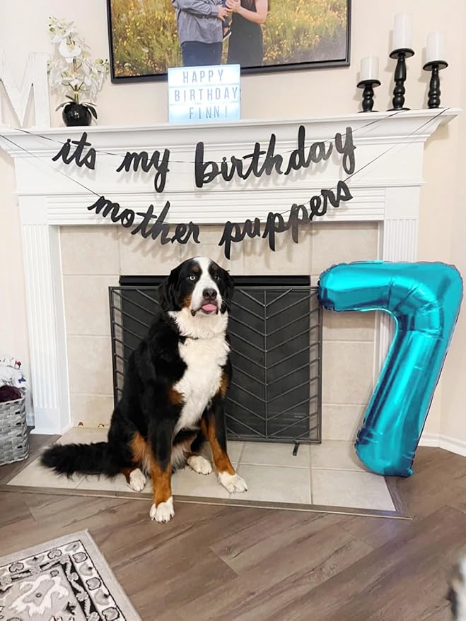 40 Inch Light Blue Numbers 9 Balloon, Balloons Decorations for 9 19 90 Birthday Party, Engagement, Wedding, Graduations, Photo Shoot Supplies