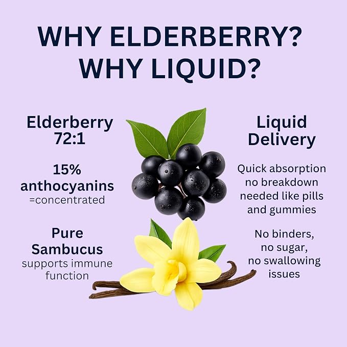 Think Above Elderberry Liquid Drops, 600mg, 2 Fl Oz, Pure Sambucus Extract with Vanilla, Vegan Immune Support Supplement, (Pack of 2)