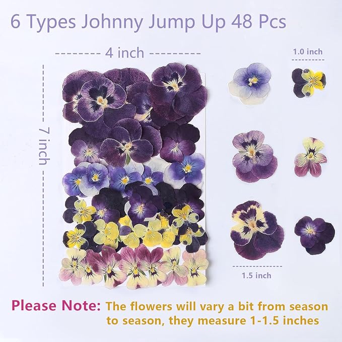 48 Pcs Mix Natural Dried Pressed Flowers for Cake Decorating, Real Dry Flower for Resin Jewelry Making, DIY Art Crafts - Johnny Jump Up