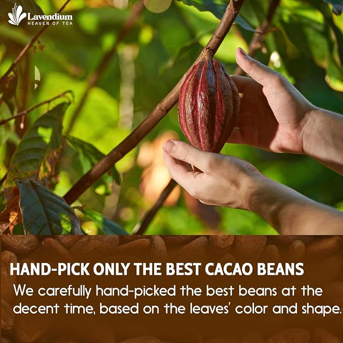 Lavendium, 6oz Cacao Powder, 100% Natural & Pure, Unsweetened, Rich Chocolate Flavor, Perfect for Baking & Smoothies, No Additives or Preservatives, No Gluten, Vegan