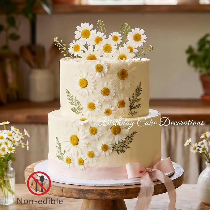 48 Pcs Natural Dried Pressed Daisy Flowers for Cake Decorating, Birthday Party Favors, Real Dry Daisies for Cupcakes, Resin Jewelry Making, DIY Art Crafts(Daisy)